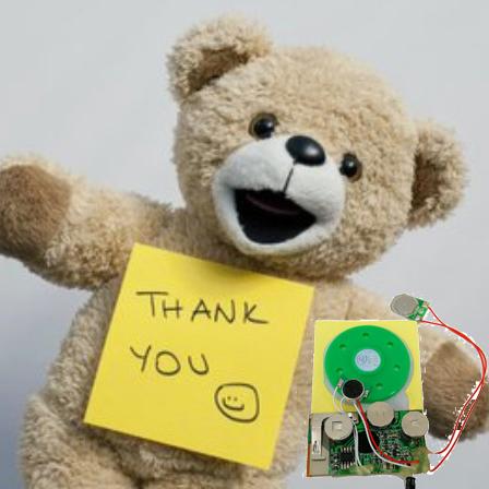 Musical Recordable Sound Module For DIY Greeting Card OEM CE Certificate 6