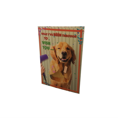Birthday Recordable Greeting Cards With Visual LED Lights 4C Printing Autoplay