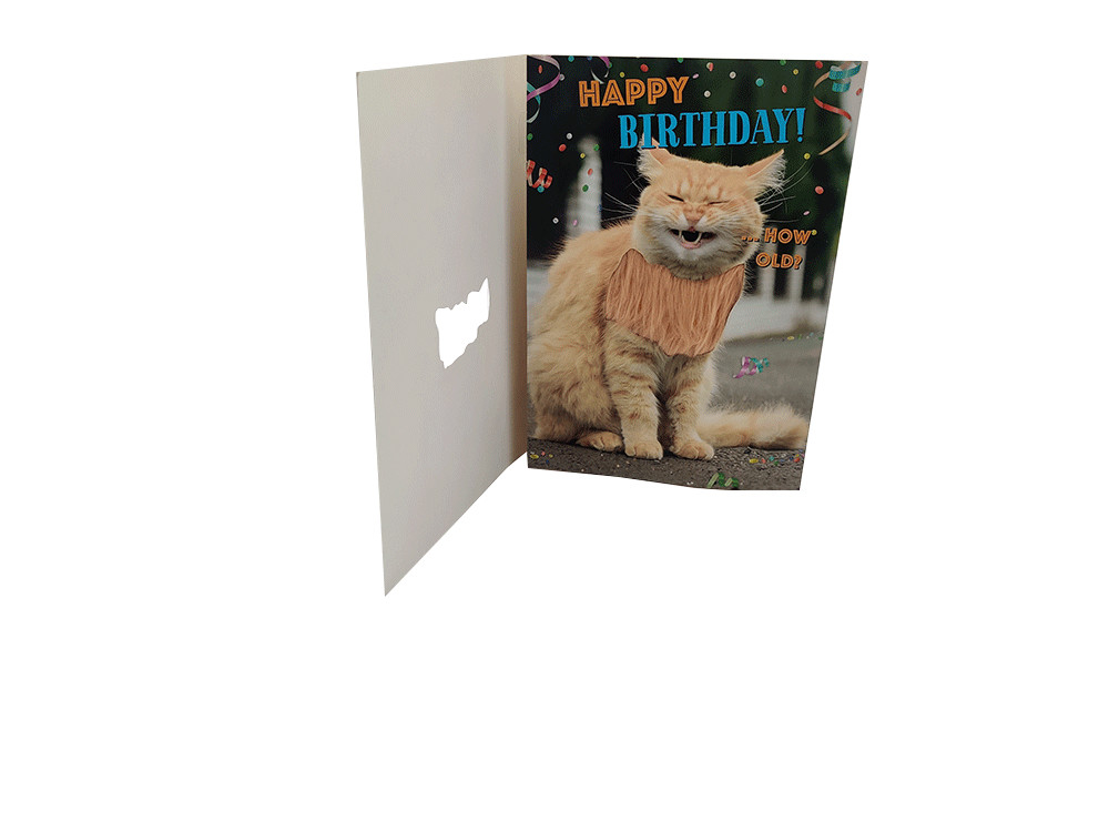 ODM Voice Recording Birthday Cards CE ROHS Certification With PCB Board