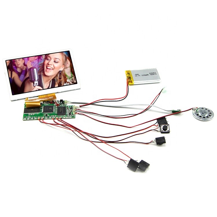 Region LCD Video Module MPG Image Format for Superior Display Performance
