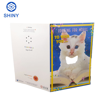 Custom Happy Birthday Recordable Musical Greeting Cards With Sound