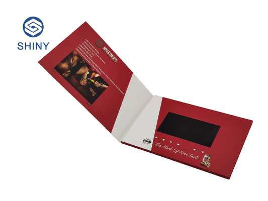 Modern Novel Design Video Brochure Card Offset Printing