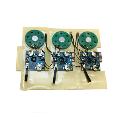 ROHS Certified Recordable Sound Module with Acceptable Custom Sound ...