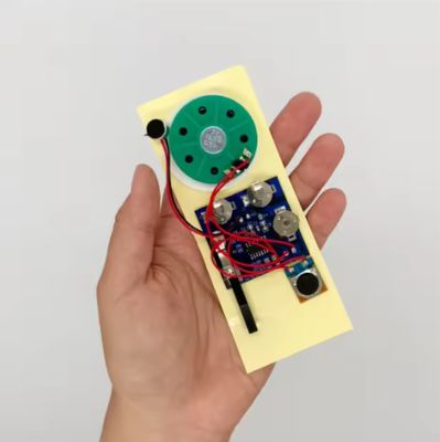 calidad Customized Flash Memory Recordable Sound Module with Customized Sound Duration for Professional Audio Recordings Fábrica